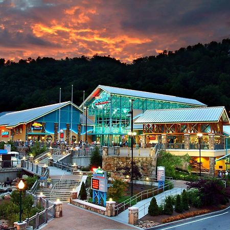 The Solstice - Amenities Galore Mountain Retreat Gatlinburg Zewnętrze zdjęcie