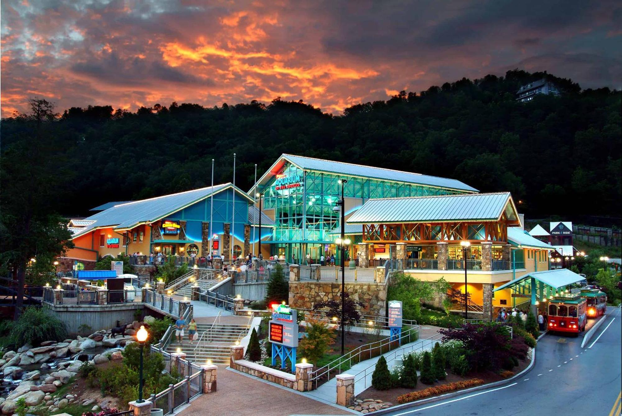 The Solstice - Amenities Galore Mountain Retreat Gatlinburg Zewnętrze zdjęcie